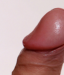 Comparative Anatomy study artistic boys porn 61d3635f8bb5b.jpg
