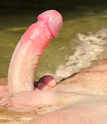 Open Gay Porn My Valiant little Soldier 61e022fd8d7ec.jpg