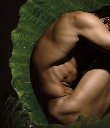 Bodyscapes guys art gay porn 61e0241963f06.jpg