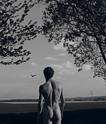 When Artists get Involved gay porn boys 61e870115ae23.jpg