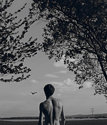 Gay Porn Spoiled Without You Nature is so Sad 61ec049dc1683.jpg