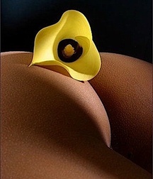 Gay Porn Twinks In every season  62002ab26a499.jpg