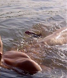 Which beach this summer gay twink boys porn 620d5a91da593.jpg