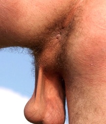 Which beach this summer nude gay porn 62100995a9a90.jpg