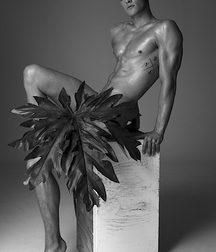Beauty is Everything Gay Porn 622263fdcf62e.jpg