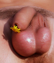 Technical assistance fruit gay porn 622a7d48534c3.jpg