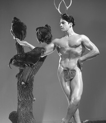 Gay Porn Style Dressed in such a Small Thing 622d00301ccdc.jpg