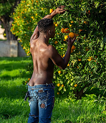 French Landscapes Gay Porn Art