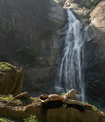 French Landscapes Gay Porn Art 623792e102961.jpg