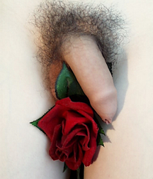 Why not new art gay porn 626335902bedd.jpg