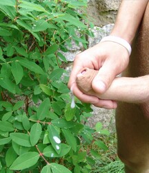 Garden needs fertilizer boys porn outdoors 627bf64e5da4d.jpg