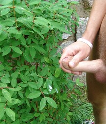 Garden needs fertilizer boys porn outdoors 627bf65483cd5.jpg