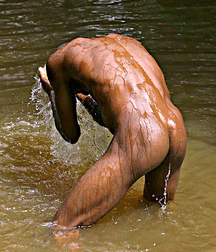 Sea, Sex and Sun Boys Porn Outdoors 627ebcb171881.jpg