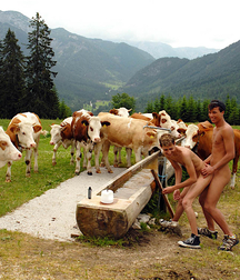 Gay Porn Meetings are always Profitable 629bb51dabf1f.jpg