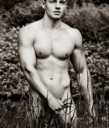 Photo Exhibition Nude Boys Porn 62aa36adec282.jpg