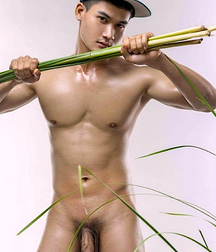 Twink Gay Porn Boys Orient's Delicacies