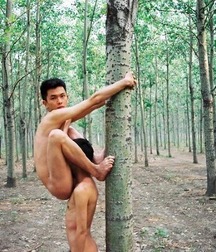 Twink Gay Porn Tube Happiness of My Spear 62e99dc9b3b4f.jpg