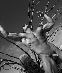 Pure Nature is Sad without You Twink Porn 62ee55f19ebca.jpg
