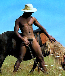 Burning Bushes Outdoors Cock Boys Porn 62ee5a961f251.jpg