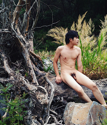 Burning Bushes Outdoors Cock Boys Porn 62ee5ab5603a1.jpg