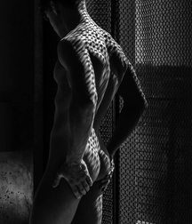 Light and Shade Twink Tube Guys 62f54fbf678f9.jpg