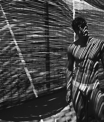 Light and Shade Twink Tube Guys 62f5500e671e9.jpg