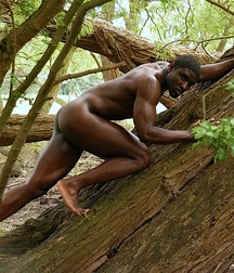 Men of the woods gay porn outdoors nature 62fa95ef832d6.jpg