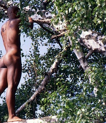 Men of the woods gay porn outdoors nature 62fa9648d11a6.jpg