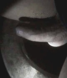 Teasers 5a95abe5afc00.jpg