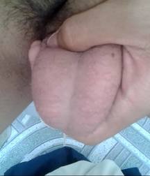 meninos do norte 5b74260cf37c4.jpg