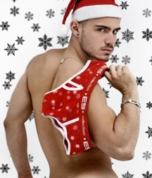 Merry Christmas-Peace and health 5a3e62c2effed.png