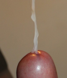 Cumshot 5b40e92680d12.png