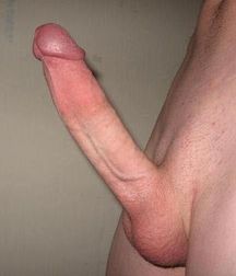 Tails as I like them 5bbe4cea17900.jpg