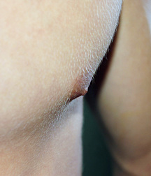 Boy Mix 44 5dbd9367a019e.jpg