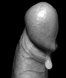 Twink porn Mix Tube Week-End 610fdcdc1ce0b.jpg