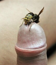 Twink porn gay Mix guys 6123a4dea1782.jpg