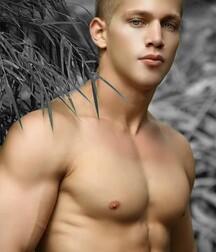 Solo Sexy Bodies 621e1cb9a05e4.jpg