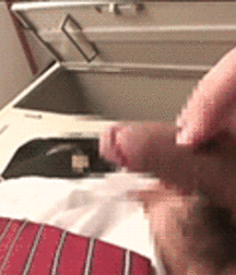 Shinkoo : Big Butts n Kit Boys 2 5c4e173711473.gif
