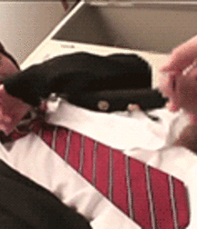 Shinkoo : Big Butts n Kit Boys 2 5c4e173a50d94.gif