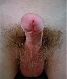 Artie's favorite hard cocks 5947af9708945.jpg