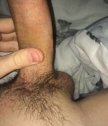 Cock 58f16ff966e49.jpg