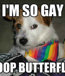 Damie's Rainbow (gay) Pride 59333d6f5d9b5.jpg