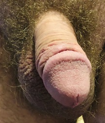 Twink Dick and Ass 5ca783e0e37fc.jpeg