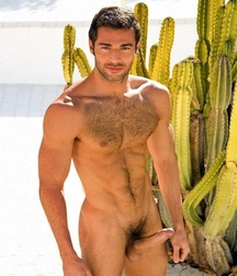 ALL NATURE 593ade45a253f.jpg