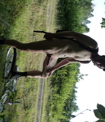 Jonathan Fredlund out on a bike ride strips naked. 590cf9f19e4fa.jpg