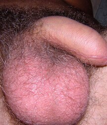 Hunter Gay Teen Porn 6245ba87dfc4b.jpg