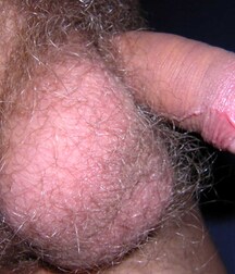 Hunter Gay Teen Porn 6245baa9ad5fe.jpg