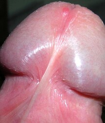 Hunter Gay Teen Porn 6245baba433f1.jpg