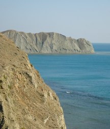 это млекопитающее, как 5a6c2472abbd5.jpg