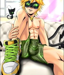 Chat Noir 5da11bda6b10d.jpg